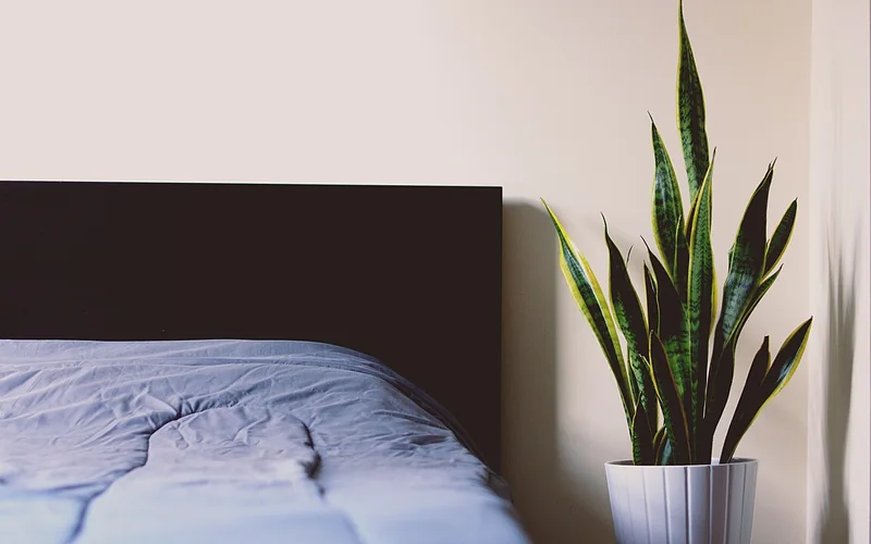 Lit avec couette dans une chambre claire